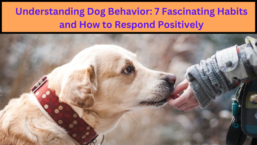Understanding Dog Behavior: 7 Fascinating Habits and How to Respond Positively