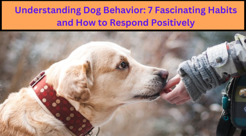 Understanding Dog Behavior: 7 Fascinating Habits and How to Respond Positively