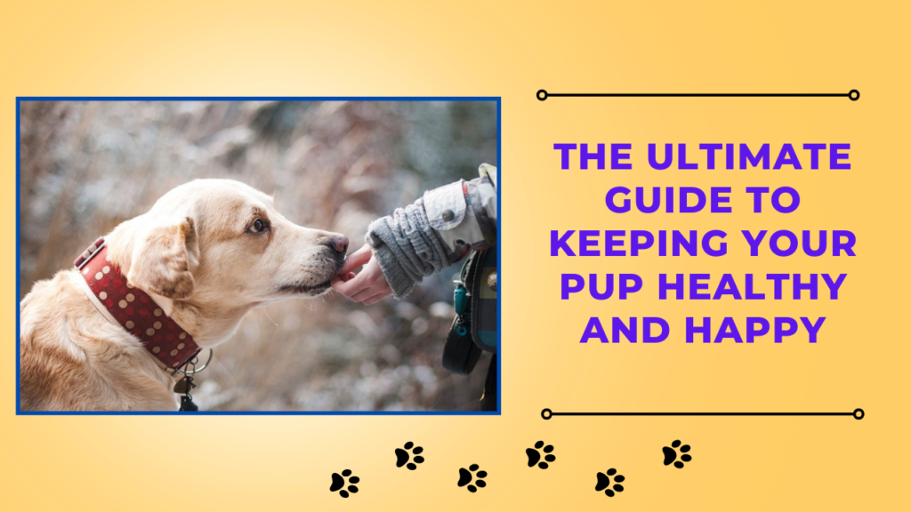 Dog Health Tips: 10 Proven Tips for Keeping Your Dog Healthy and Happy