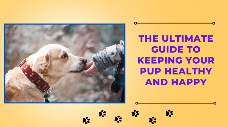 Dog Health Tips: 10 Proven Tips for Keeping Your Dog Healthy and Happy
