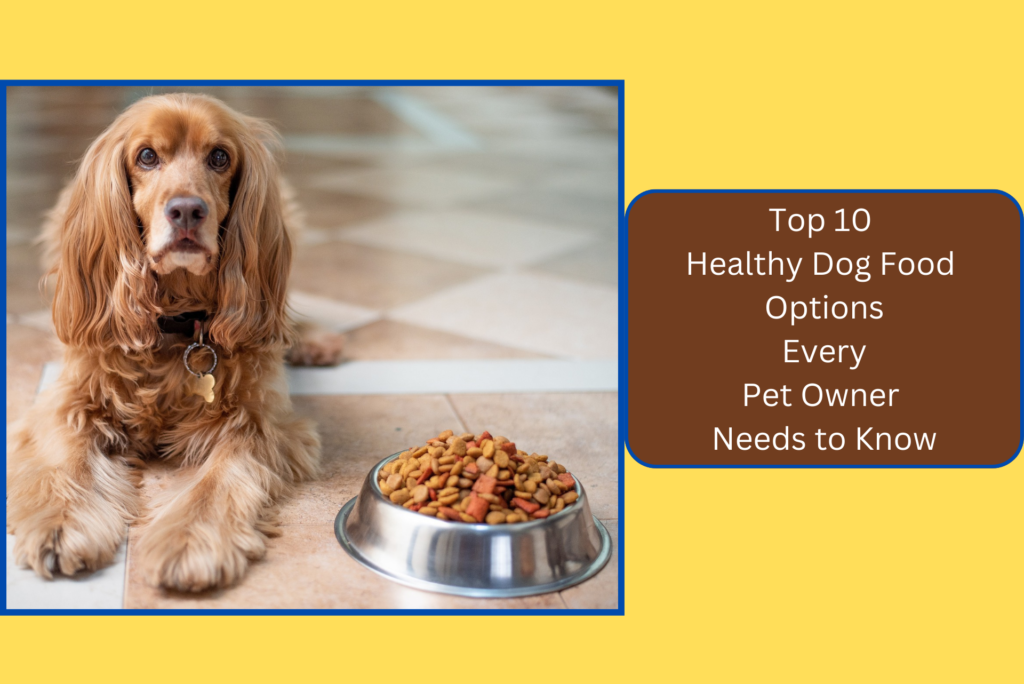 Top 10 Healthy Dog Food Options Every Pet Owner Needs to Know
