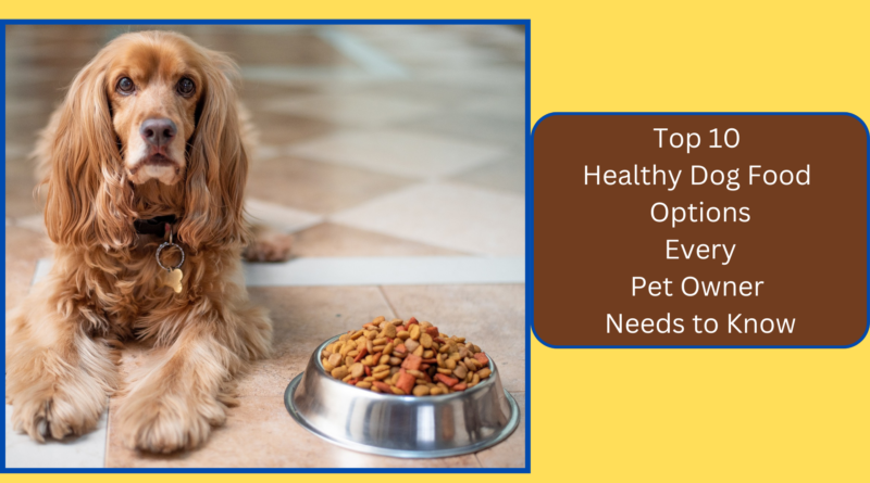 Top 10 Healthy Dog Food Options Every Pet Owner Needs to Know