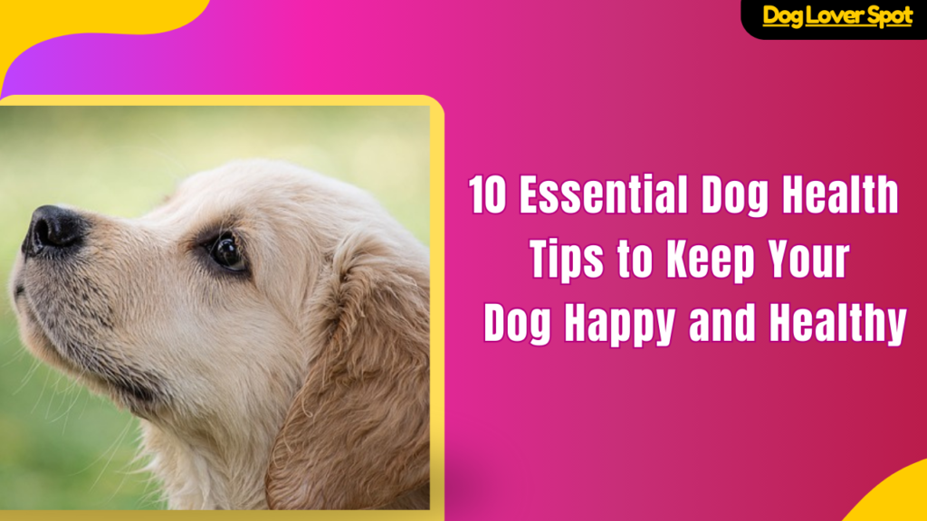 10 Essential Dog Health Tips to Keep Your Dog Happy and Healthy