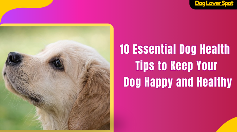 10 Essential Dog Health Tips to Keep Your Dog Happy and Healthy