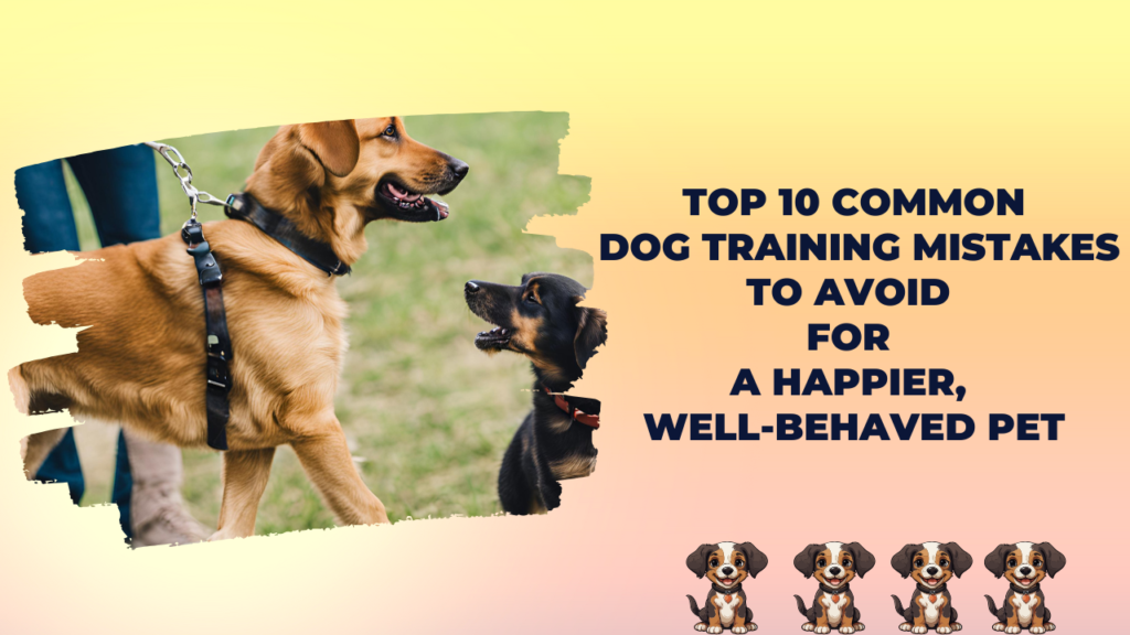 Top 10 Common Dog Training Mistakes to Avoid for a Happier, Well-Behaved Pet