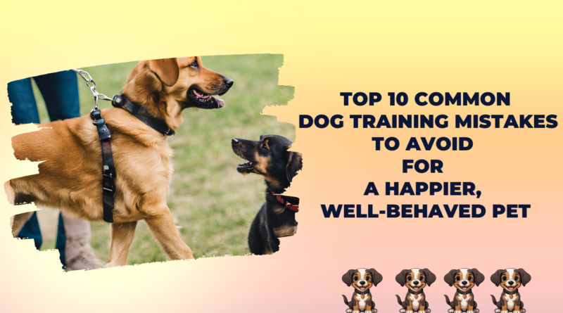 Top 10 Common Dog Training Mistakes to Avoid for a Happier, Well-Behaved Pet