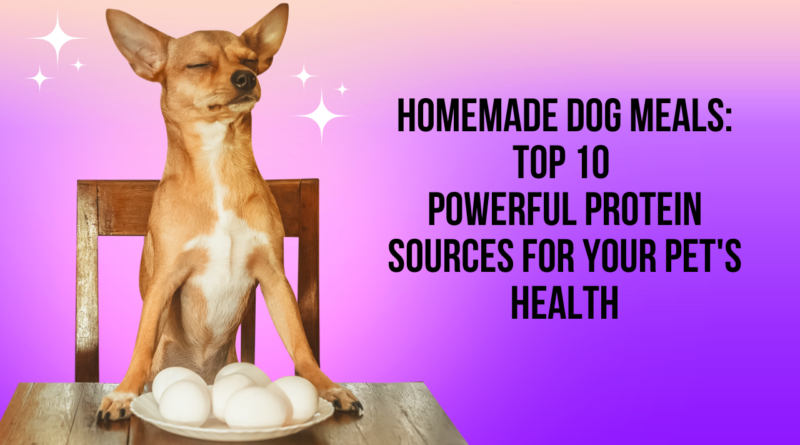 Homemade Dog Meals: Top 10 Powerful Protein Sources for Your Pet's Health