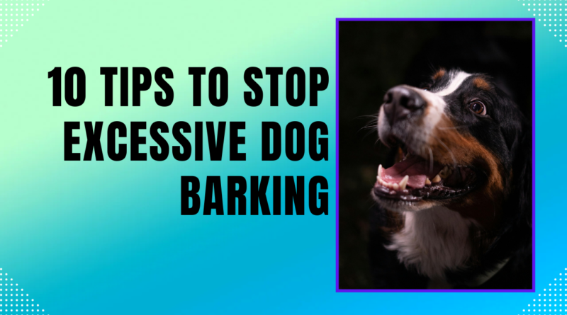 10 Tips to Stop Excessive Dog Barking
