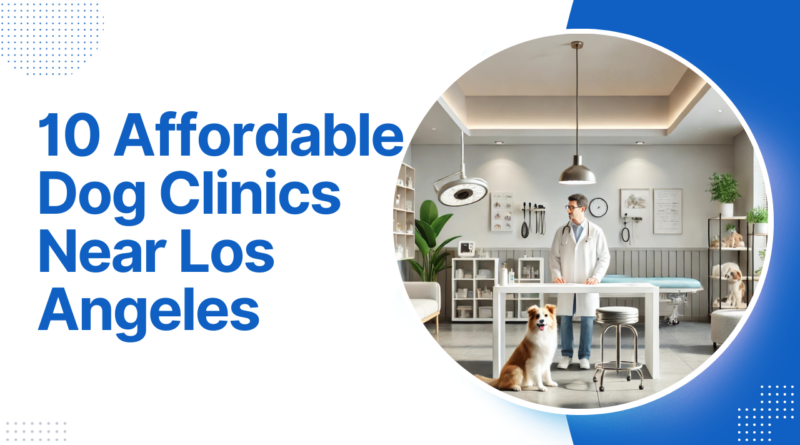 10 Affordable Dog Clinics Near Los Angeles